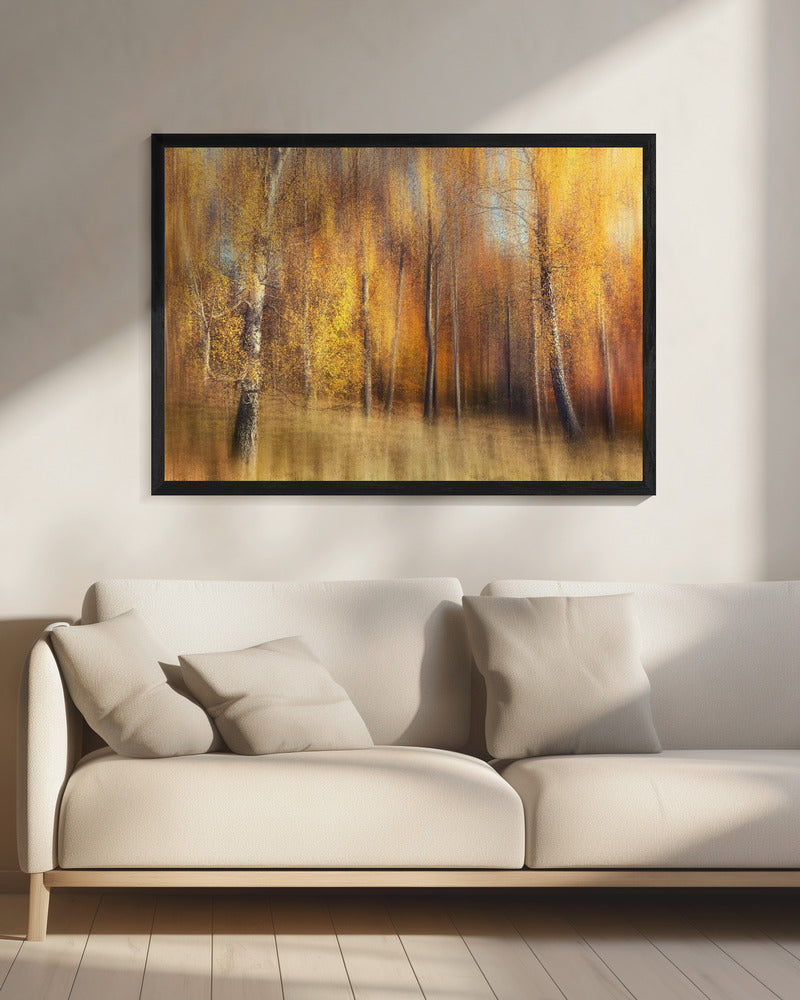 Herbstbirken | Leinwand