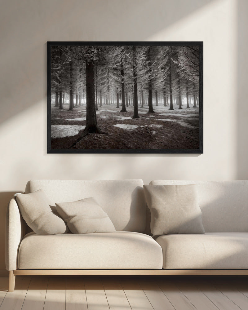 Der Wintereinbruch | Leinwand