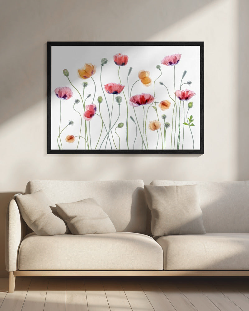 Papaver-Party | Leinwand