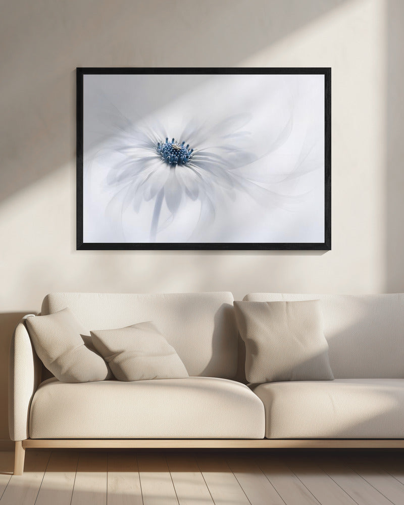 Serenity | Canvas
