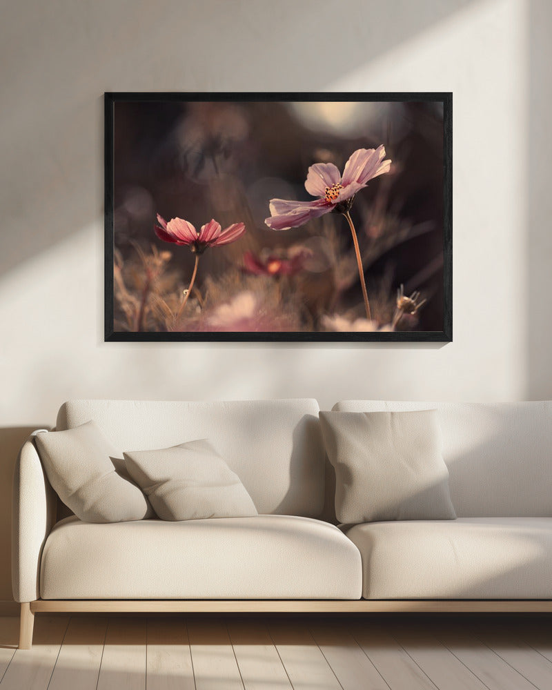 Blumen der Unschuld | Leinwand