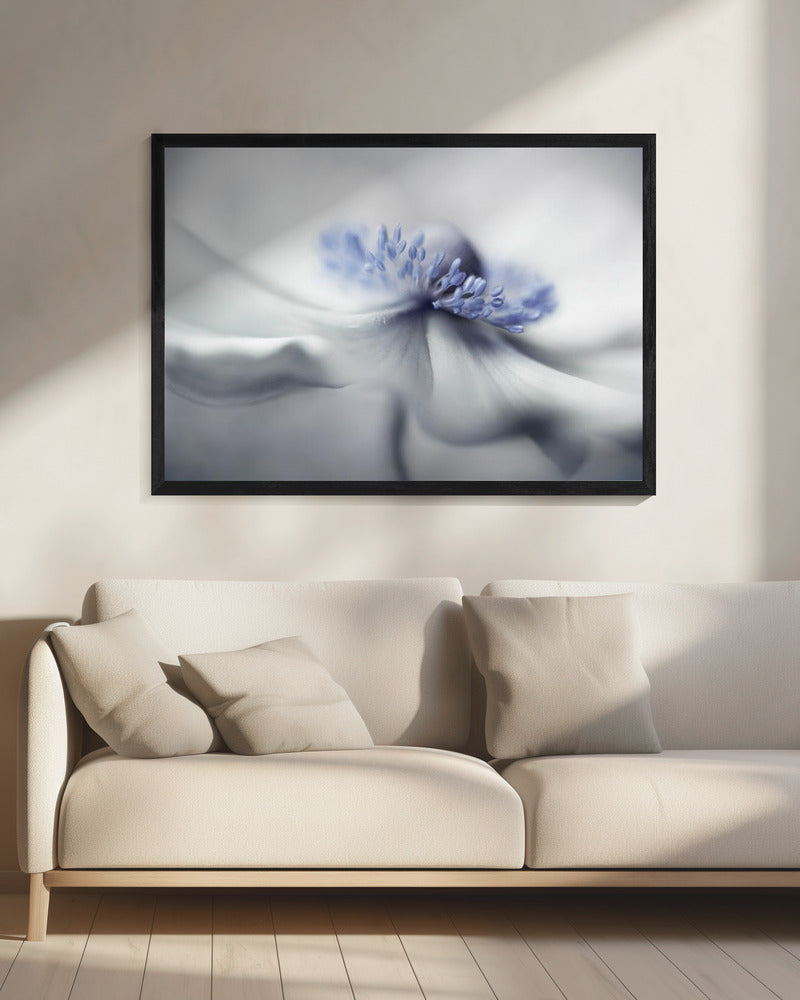 Anemonengeist | Leinwand