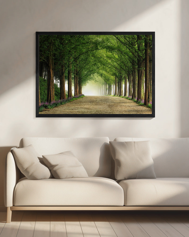Metasequoia-Straße | Leinwand