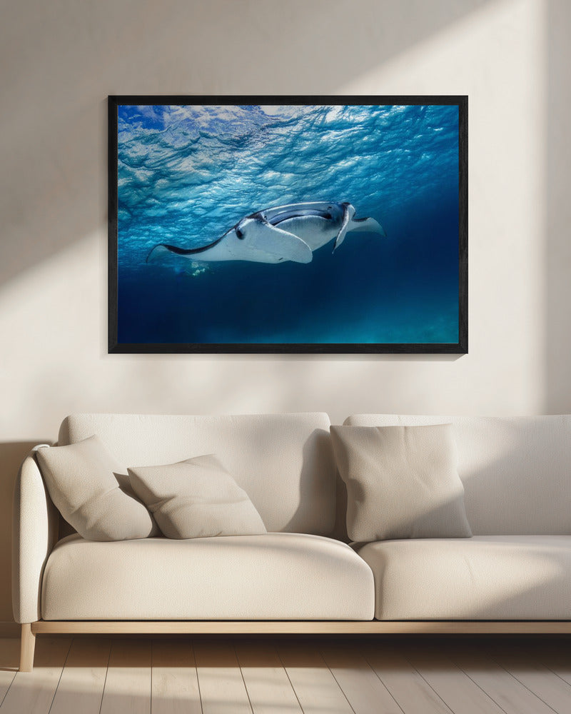 Mantarochen | Leinwand