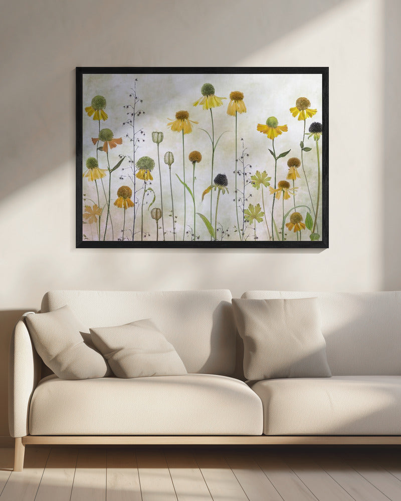Helenium | Leinwand