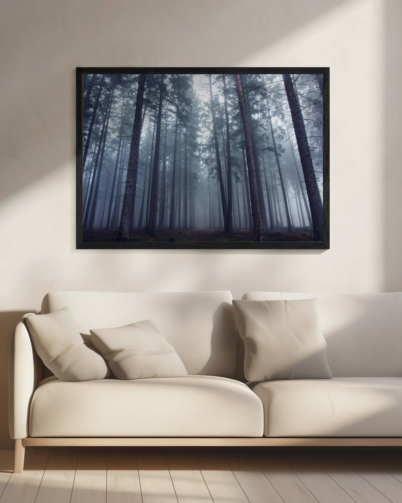 Mysterious foggy forest. | Canvas