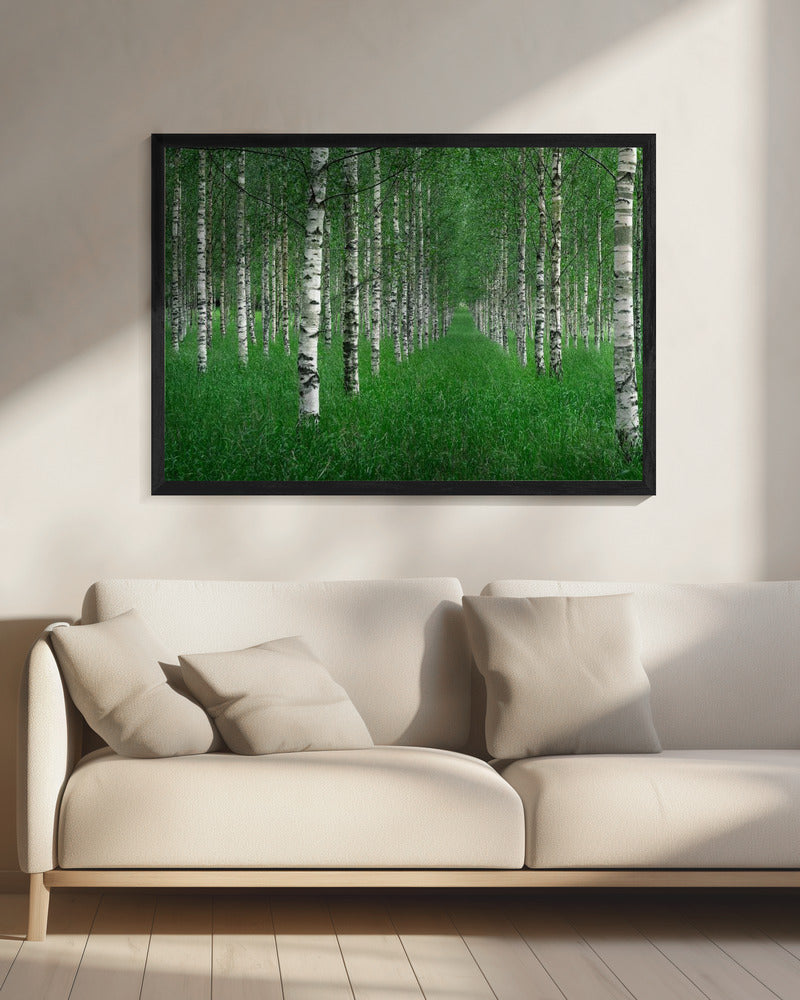 The tunnel | Canvas