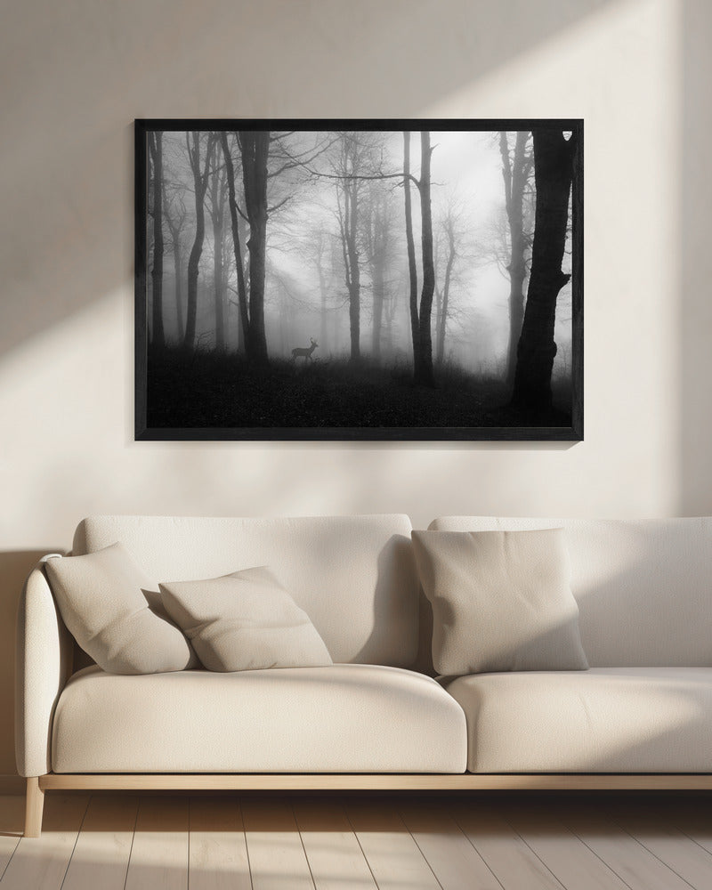 Wald | Leinwand