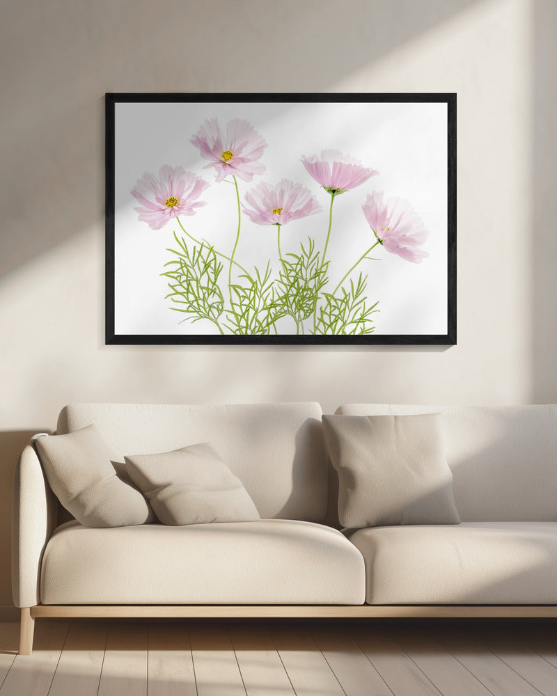 Cosmos Cupcake | Leinwand