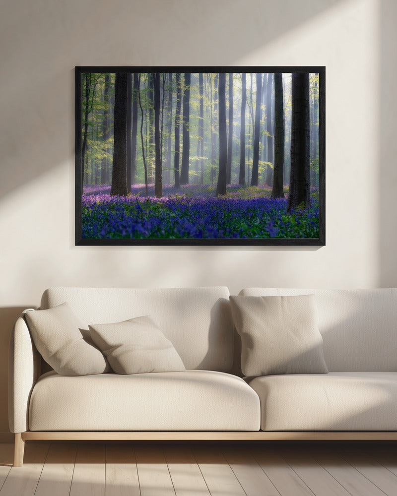 Glockenblumen | Leinwand