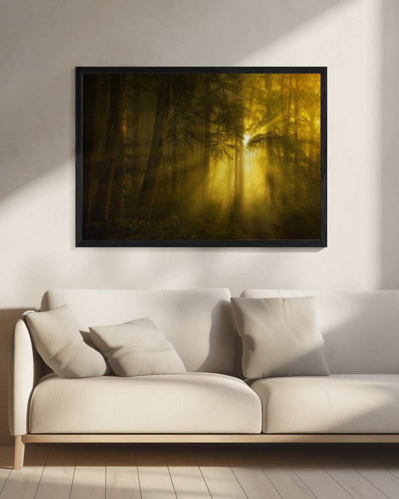 Gelb | Leinwand