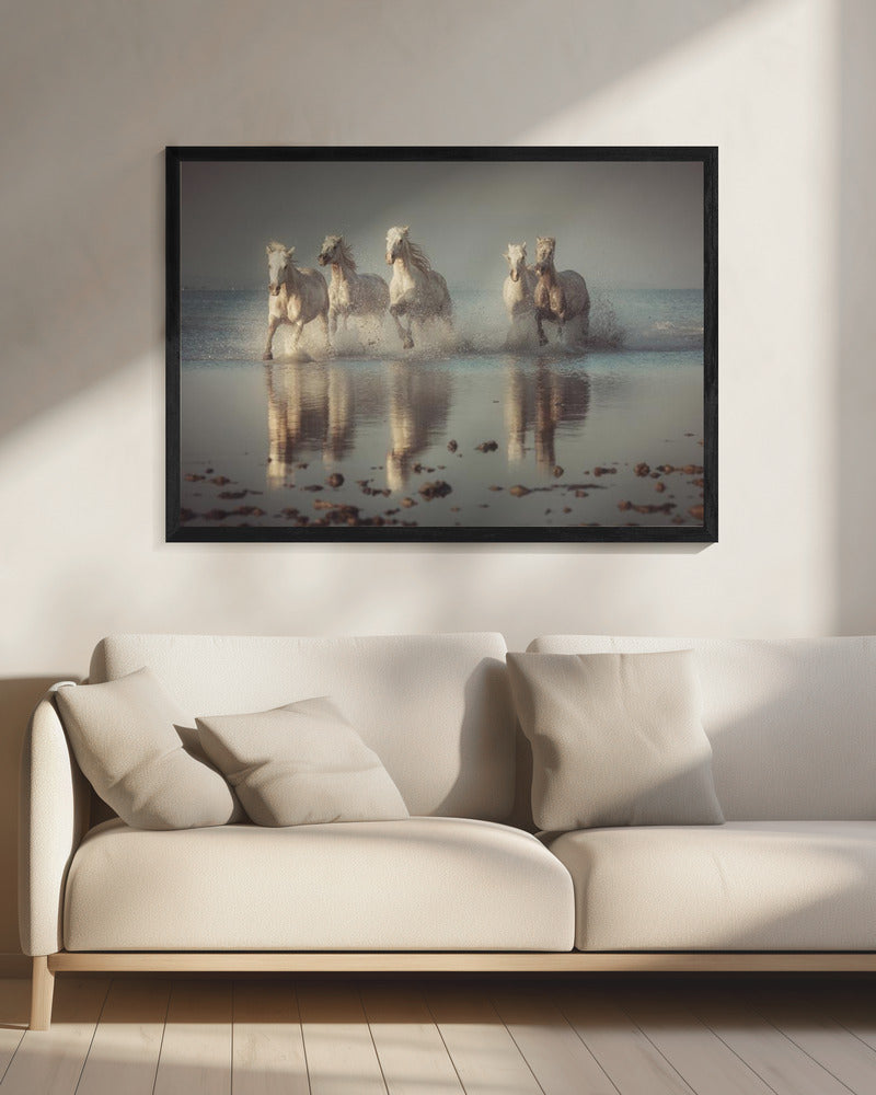 Camargue-Pferde | Leinwand