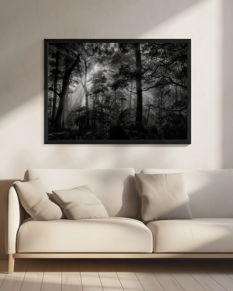Primärwald | Leinwand