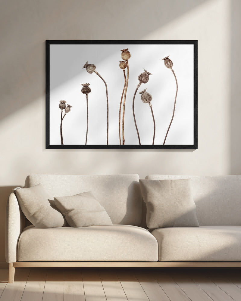 Mohnblumen | Leinwand
