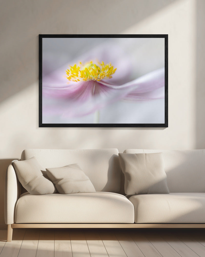 Anemone | Leinwand
