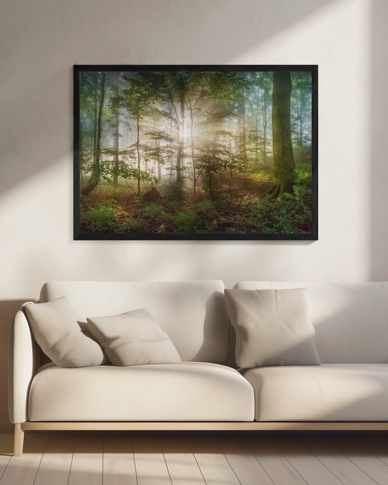 Morgensonne | Leinwand