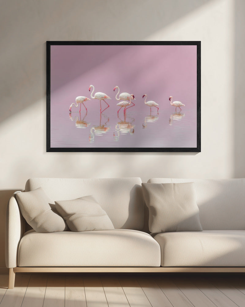 Flamingos | Leinwand