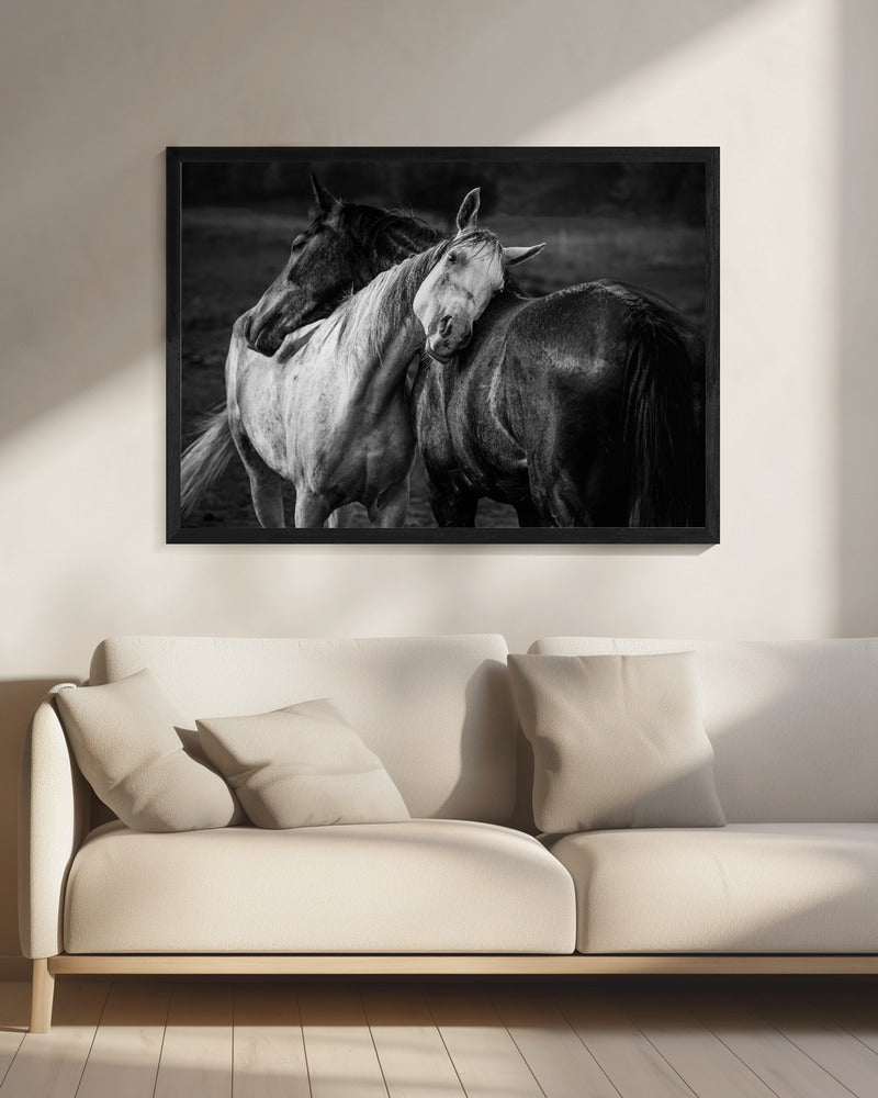 Warm rain | Canvas