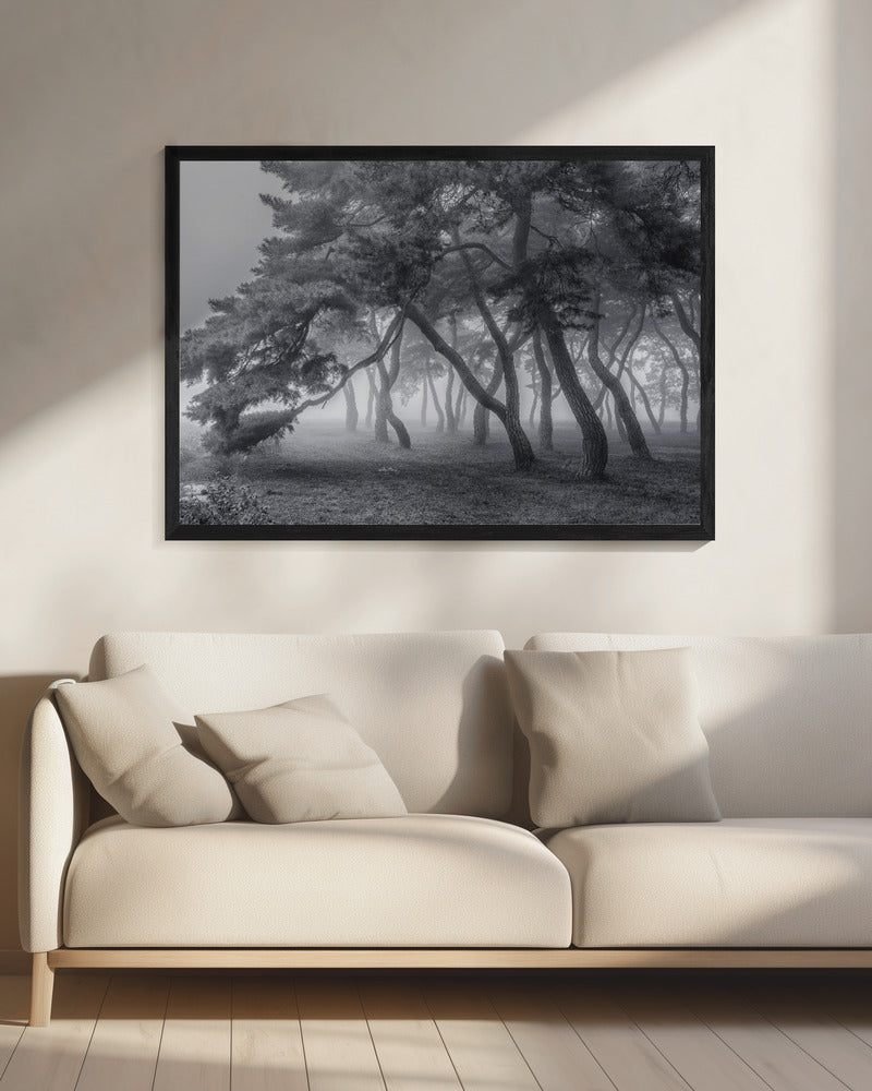 Always | Canvas
