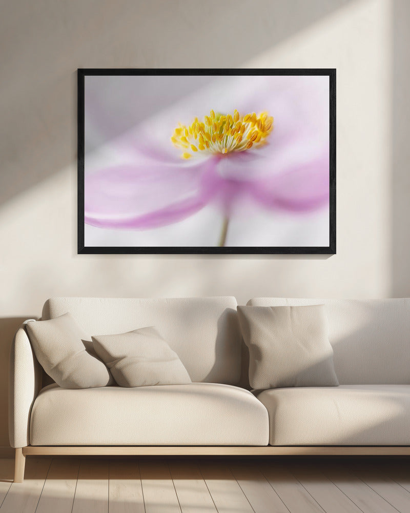 *Anemone* | Leinwand