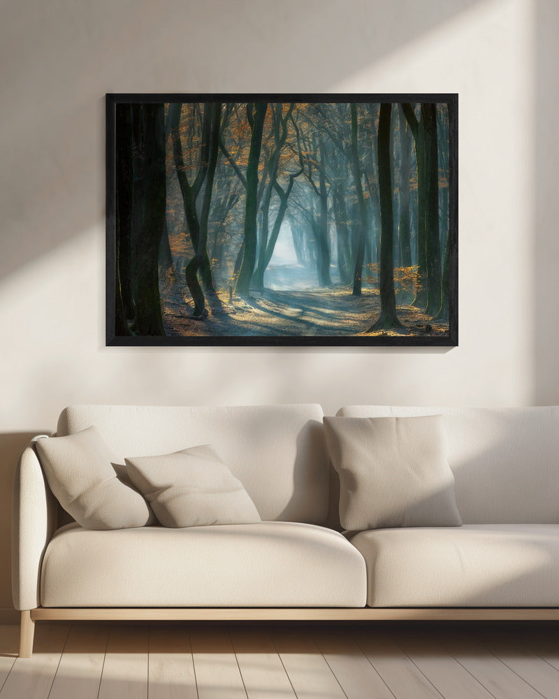 Kaltes Licht | Leinwand