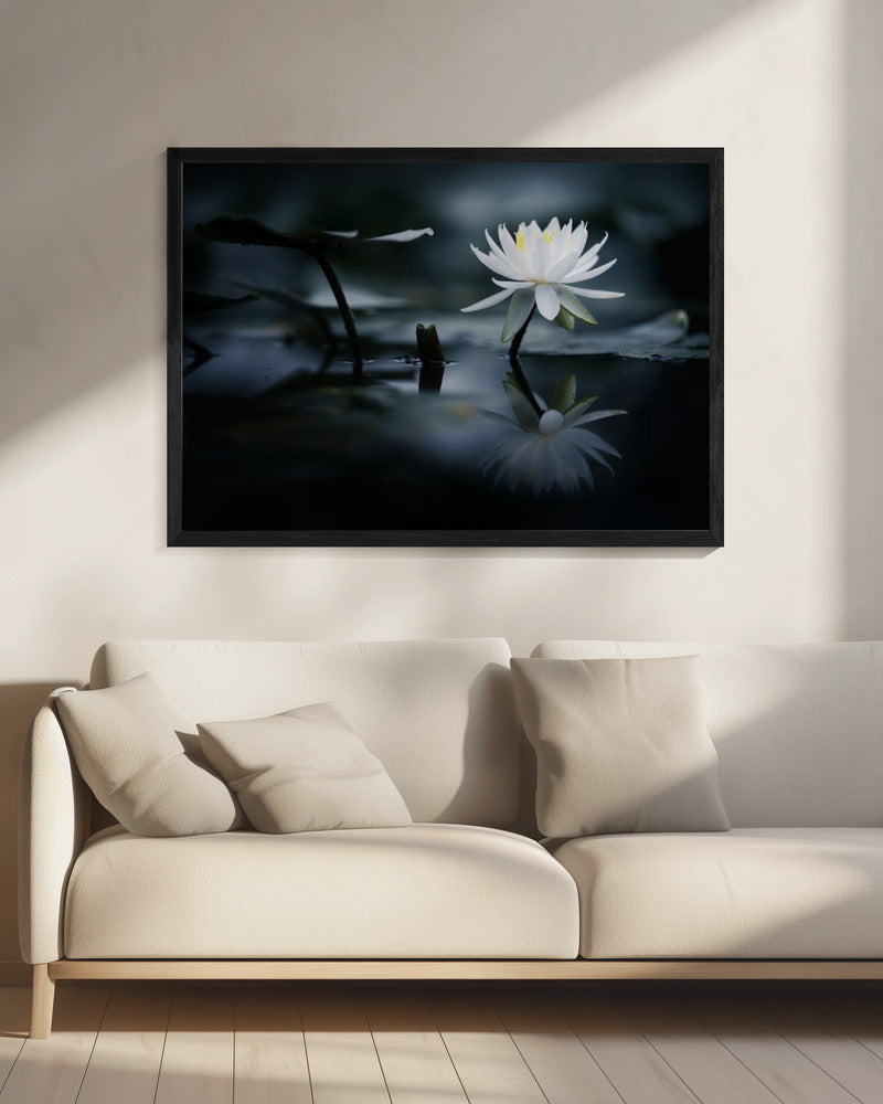 Reflexion | Leinwand
