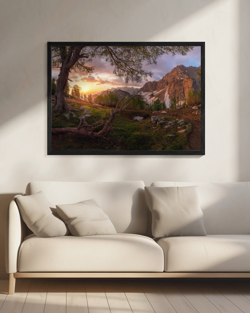 Magischer Morgen | Leinwand