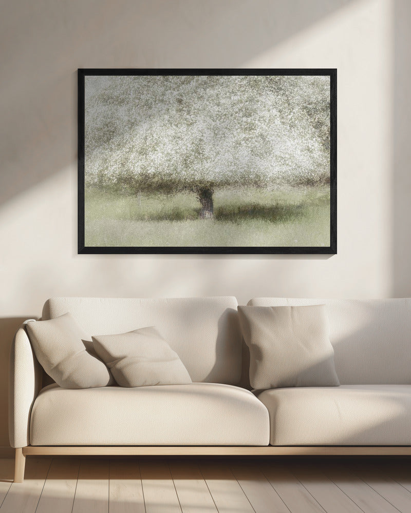 In the backyard | Canvas