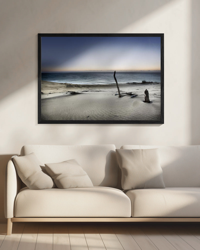 Greif nach der Sonne | Leinwand