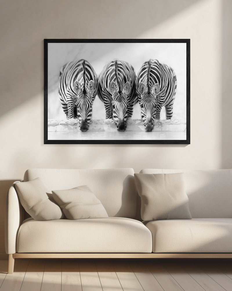 Zebras | Leinwand