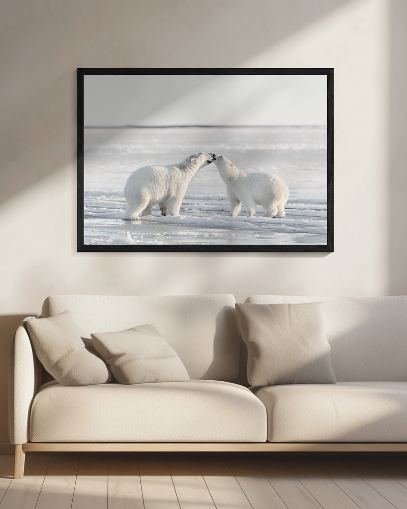 Morning celebration | Canvas