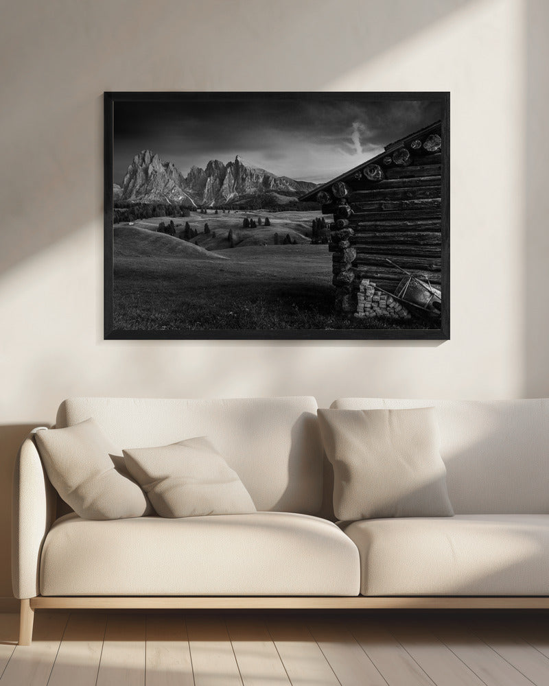Untitled | Canvas