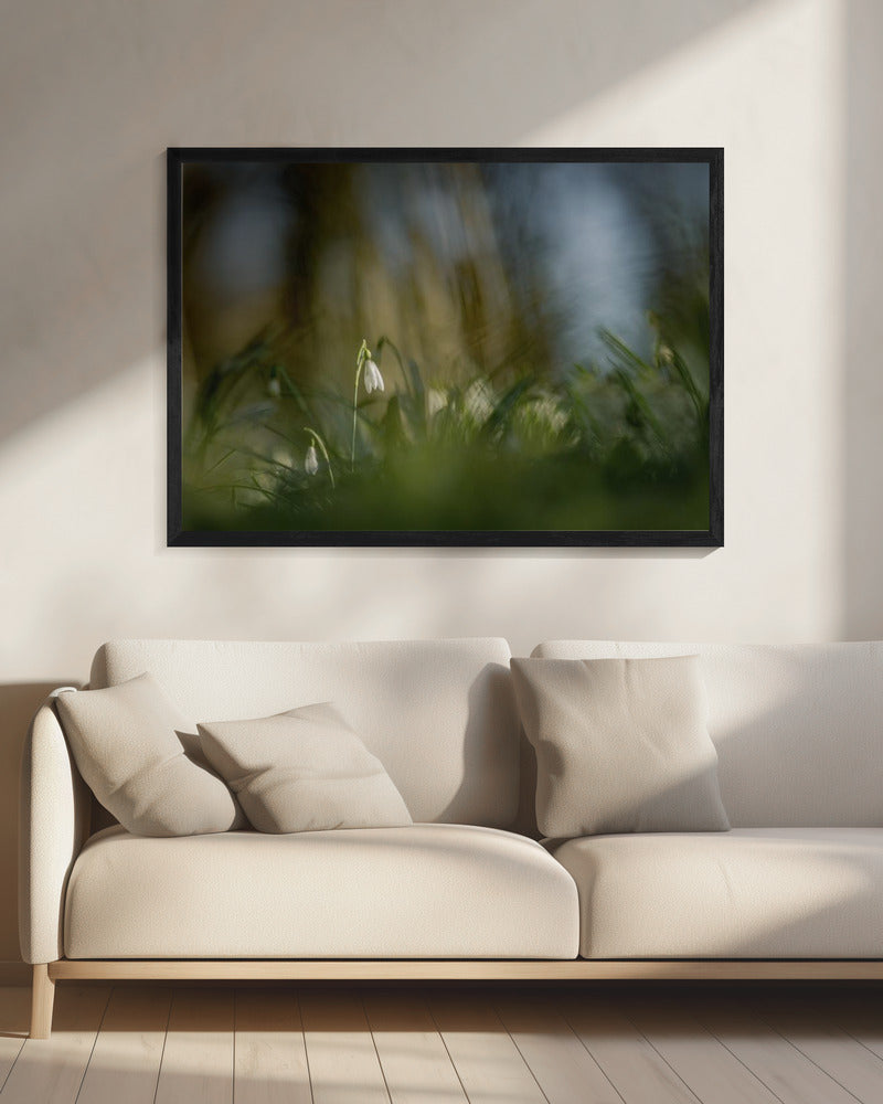 Fast allein... | Leinwand