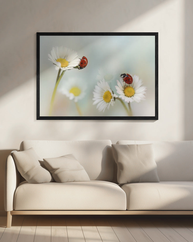 Springtime.... | Canvas