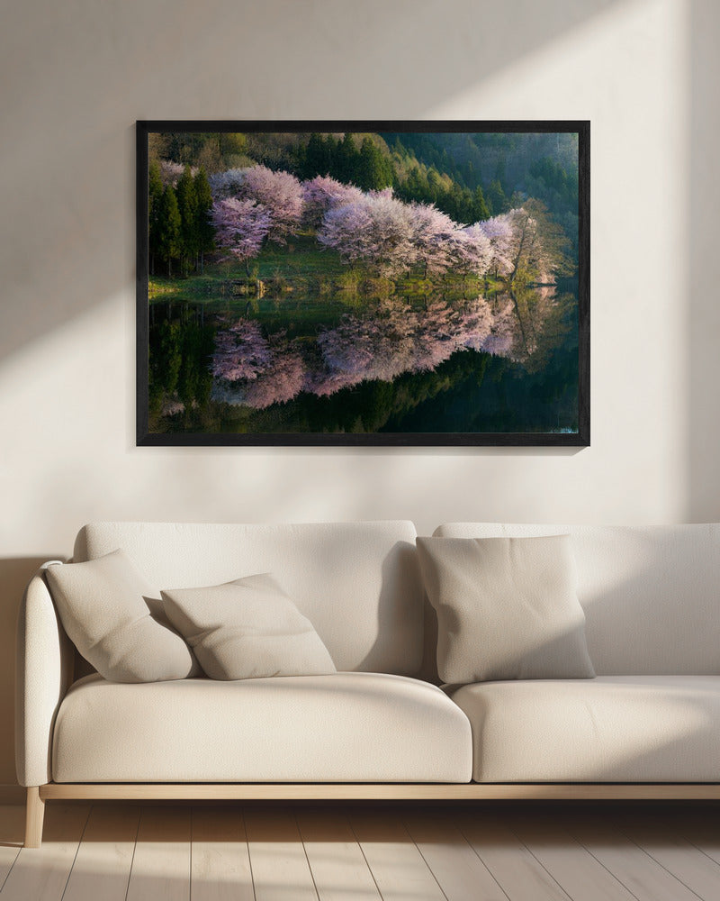Sakura | Leinwand