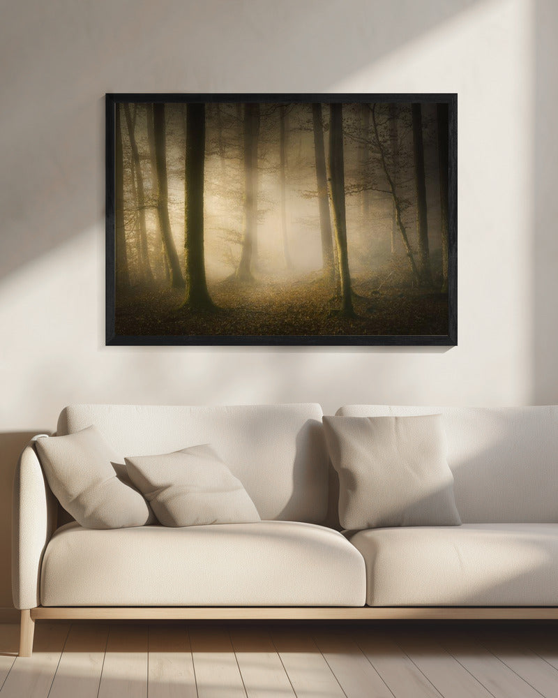 November Whispers | Canvas