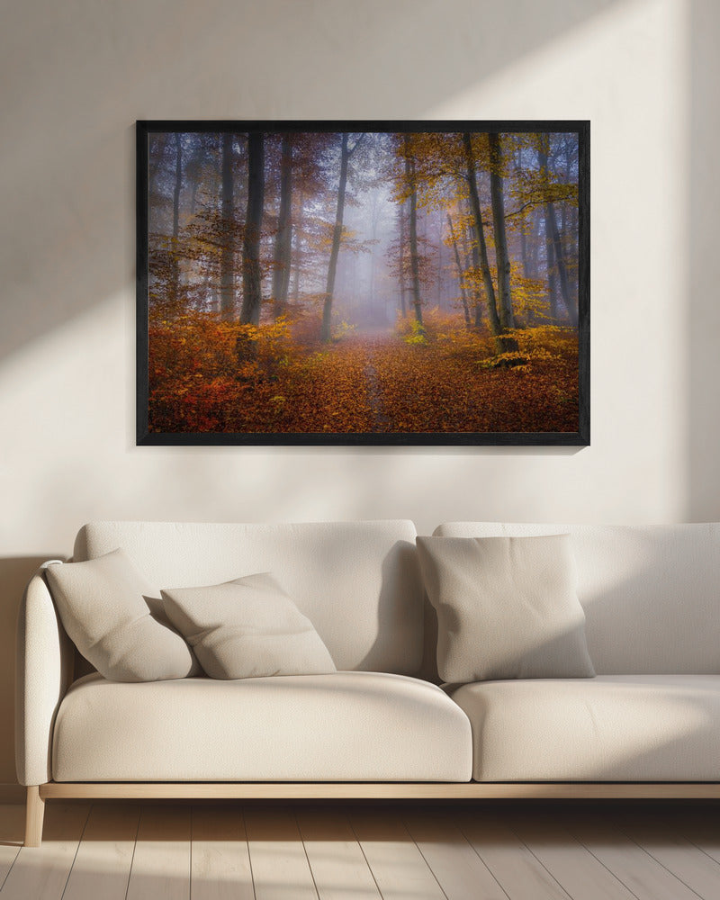 October Trail | Canvas