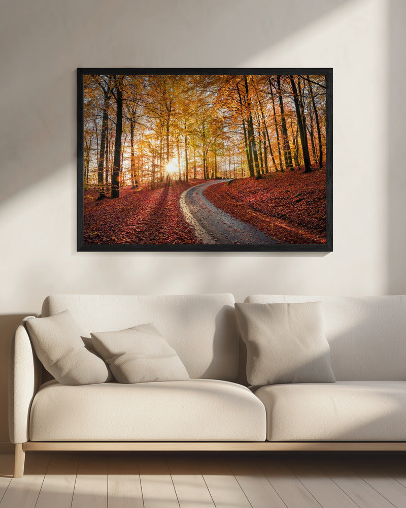 Straße im Nationalpark Söderåsen, Schweden | Leinwand