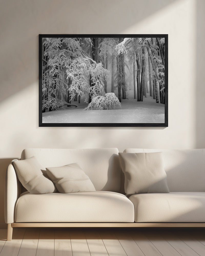 Perfekter Winter | Leinwand