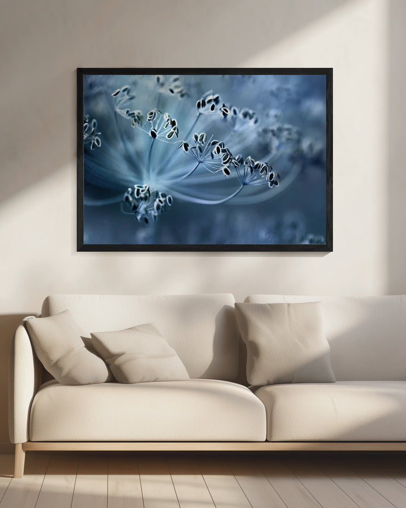 Dill | Canvas