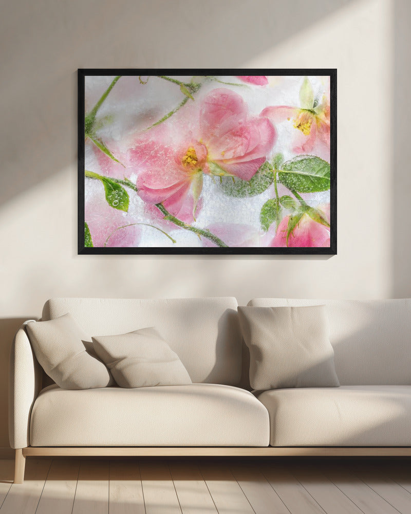 Rosa | Canvas