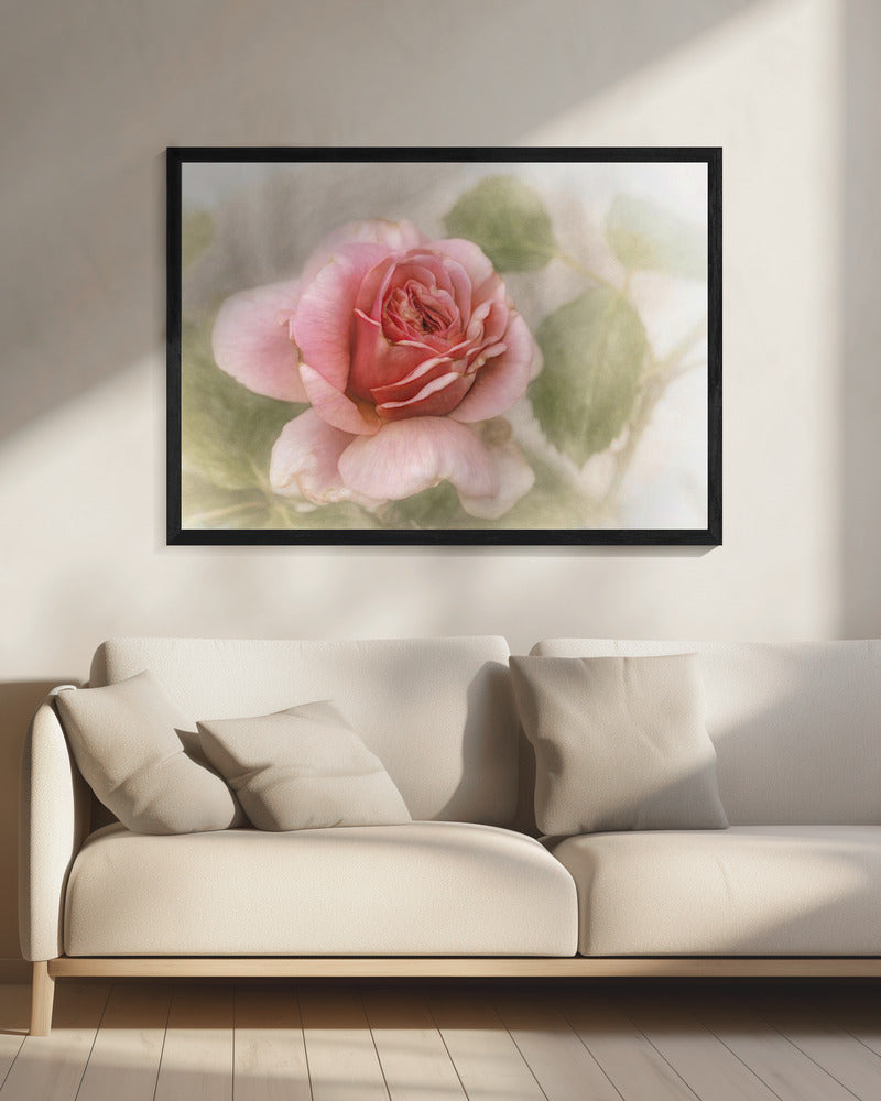 glatte Rose | Leinwand