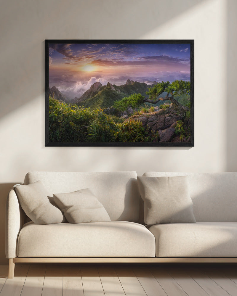 Kiefer auf dem Felsen | Leinwand