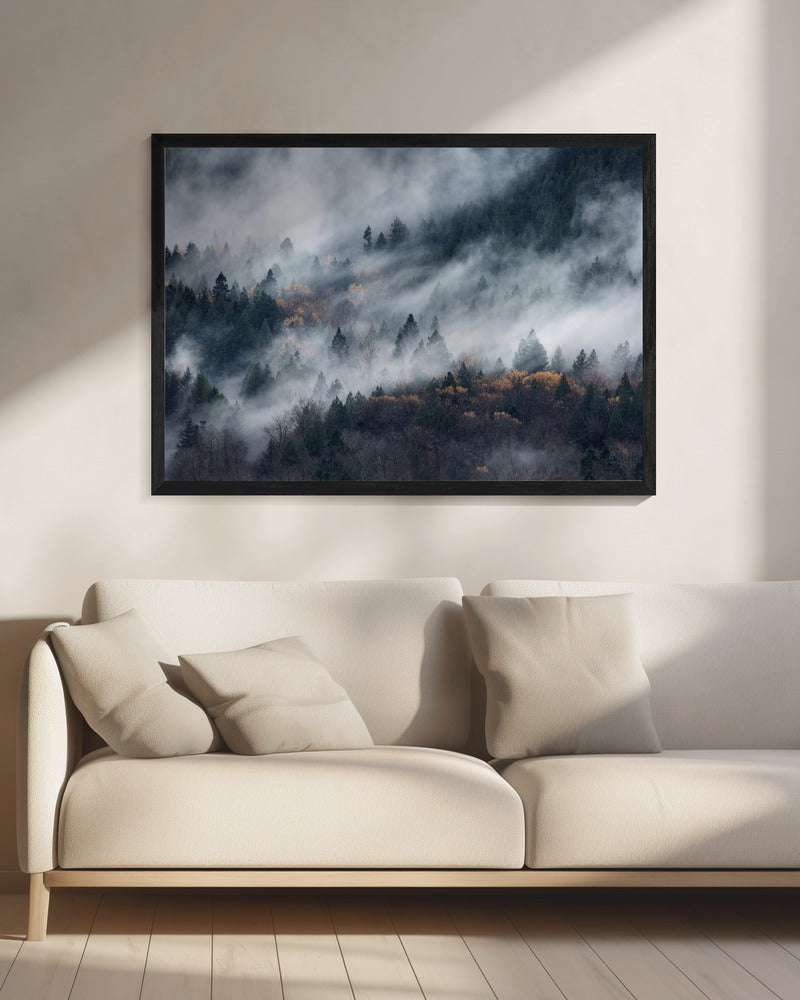 Ein Pfad im Nebel | Leinwand