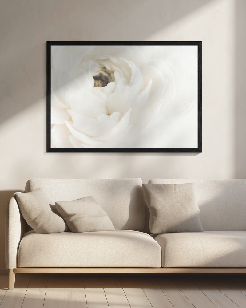 Weiße Blume 02 | Leinwand
