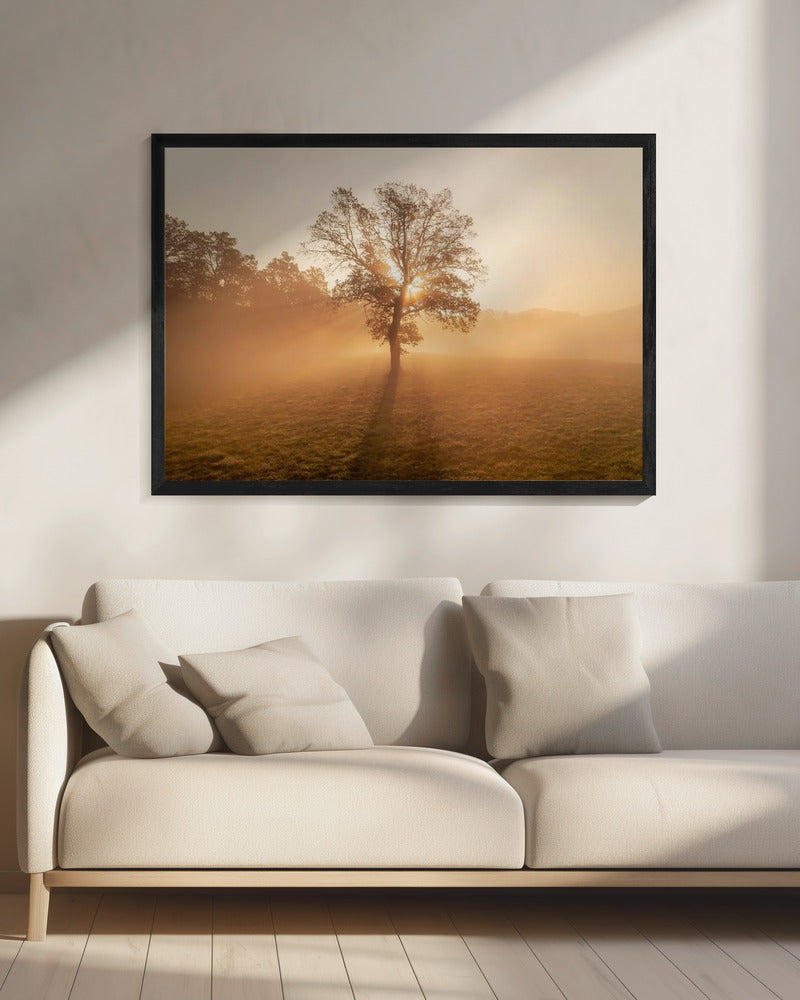 Einsamer Baum | Leinwand