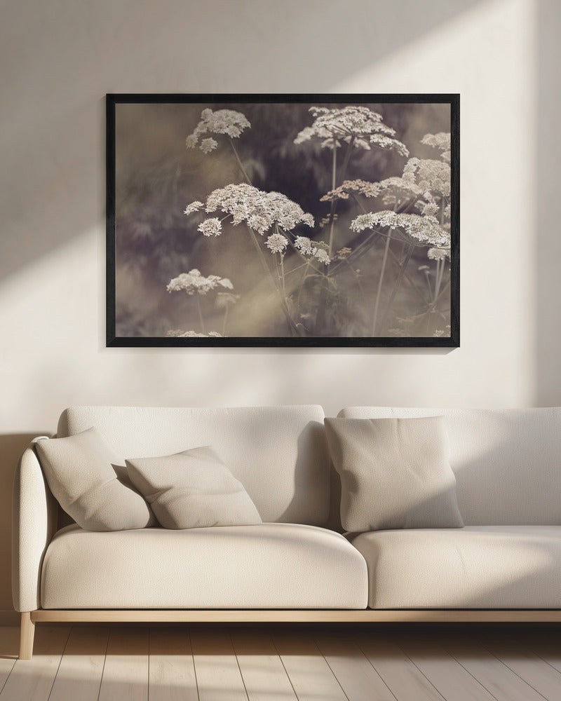 Wilde Petersilie | Leinwand