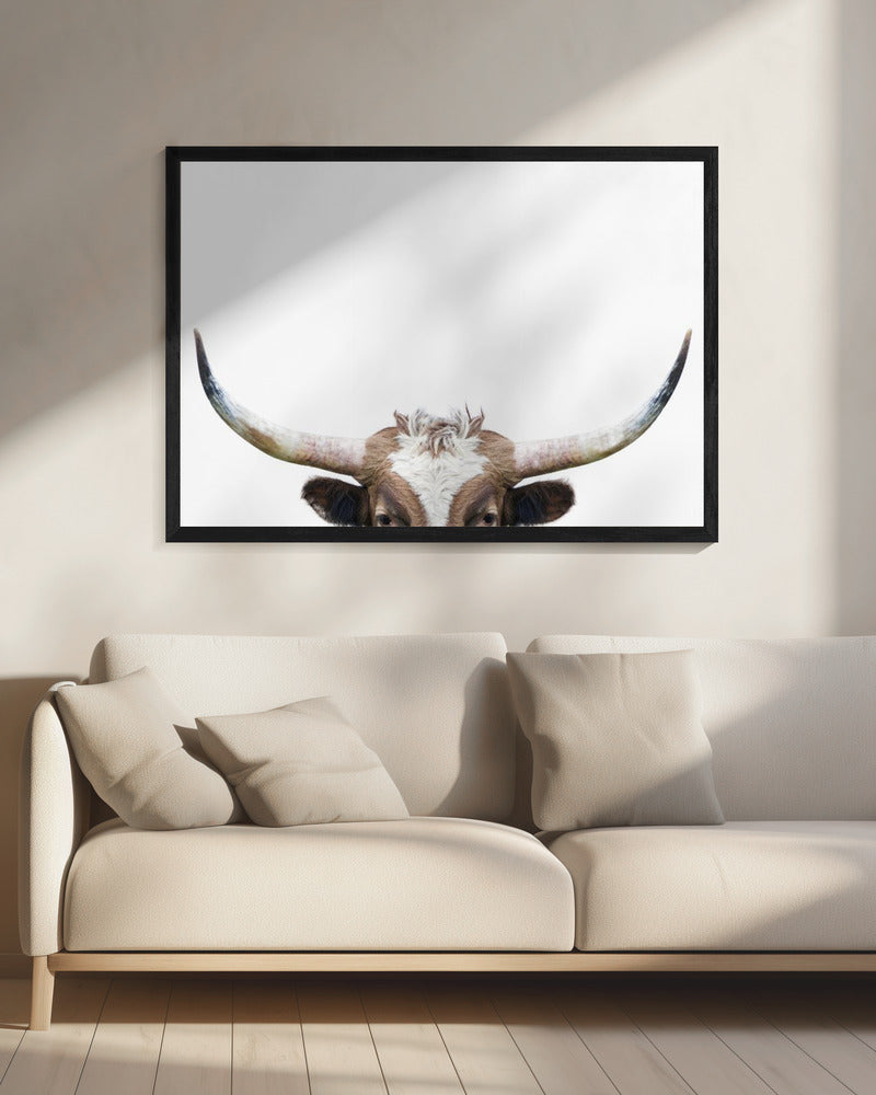 Guckende Longhorn-Kuh | Leinwand