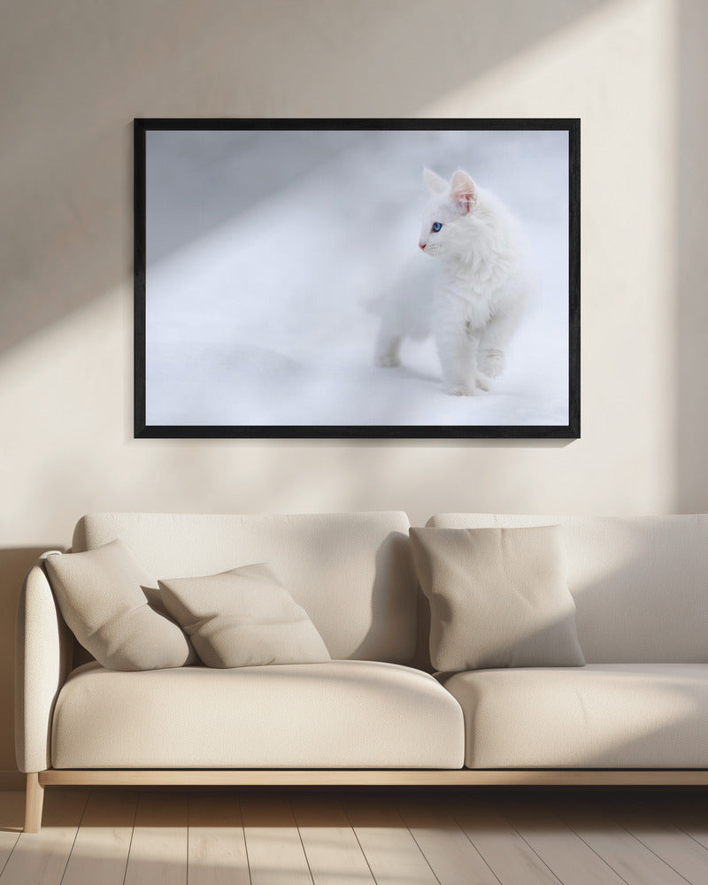 Weiß wie Schnee | Leinwand