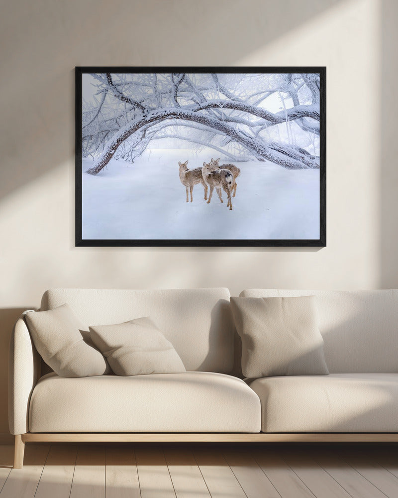 Hirschspaziergang im Schnee | Leinwand